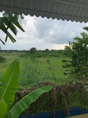 a view of a field from a window at Sana El Jardin Secreto in Santiago de los Caballeros