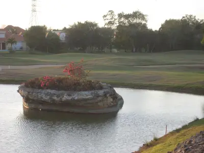 a rock in the middle of a pond at Green Paradise in Juan Dolio