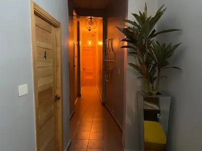 a hallway with a plant in a vase next to a door at Hostal 53 Boutique Santo Domingo in Santo Domingo