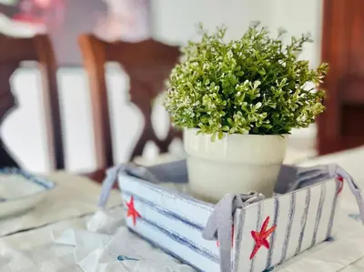 a plant in a pot on a table at Beach Front Penthouse in Exclusive Tower in Santo Domingo