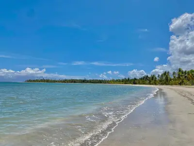 a beach with water and trees in the distance at Stunning Beachfront Condo With Private Beach, Las Terrenas-El Limón in El Limón