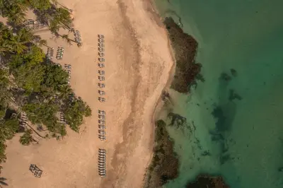 an aerial view of a beach and the ocean at Iberostar Waves Costa Dorada - All Inclusive in San Felipe de Puerto Plata