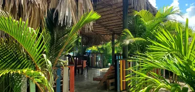 a patio with palm trees and a wooden roof at HOTEL RANCHO EL NOVATO in Concepción de La Vega
