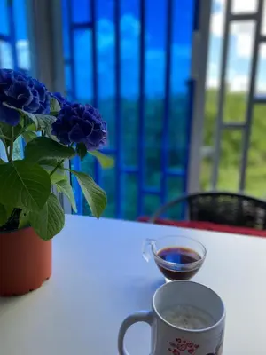a cup of coffee and a plant on a table at Tiny Apartment By Merengue House ,8 minutos airport in Santo Domingo