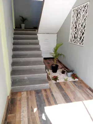 a staircase in a house with some plants on the floor at Tiny Apartment By Merengue House ,8 minutos airport in Santo Domingo