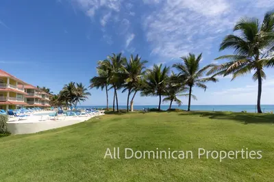 a view of a beach with palm trees and the ocean at Victorian Condominium, Cabarete! in Cabarete