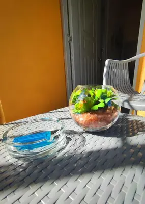 a bowl of salad sitting on a table at Refugio Encantador in Santo Domingo