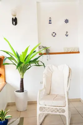 a white chair and a potted plant in a room at Apartamento Los Anturios en Puerto Plata Bayardo in San Felipe de Puerto Plata