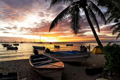 a group of boats on a beach with a palm tree at Casa Vacanze Dume in Bayahibe