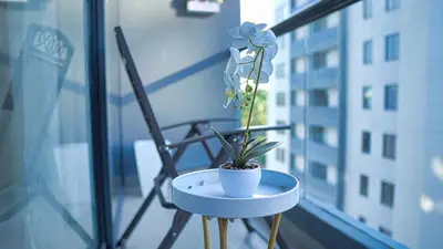 a flower sitting on a table in front of a window at Premium space in Santiago- 5 Min Away from airport in Santiago de los Caballeros