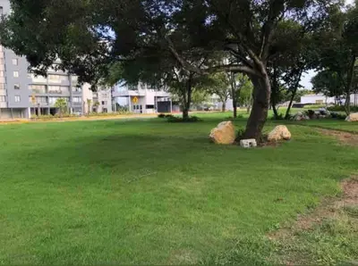 a green park with a tree and two large rocks at Premium space in Santiago- 5 Min Away from airport in Santiago de los Caballeros