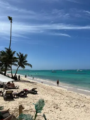 a beach with chairs and palm trees and the ocean at Casa Mulata Paseo del Mar Pool & Playa in Punta Cana