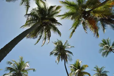 Gallery image of Casa del Mar Lodge Barahona in Santa Cruz de Barahona