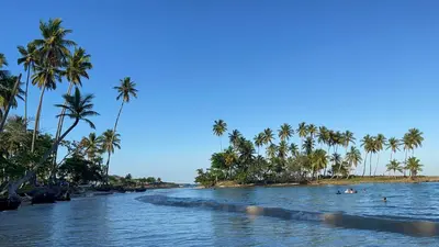 a beach with palm trees and people swimming in the water at Our Cozy Home, Wi-Fi, AC, Parking, Near Beaches and Attractions in quiet area in Nagua
