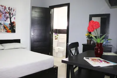 a bedroom with a bed and a table with a vase of flowers at Hotel Merey in Santo Domingo