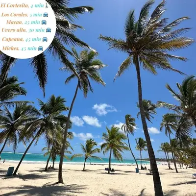 a calendar of palm trees on a beach at Hermoso apartamento 1 hab a pasos de la playa in Punta Cana