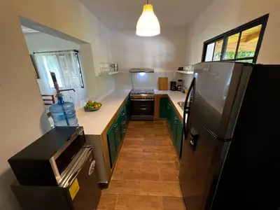 a kitchen with green cabinets and a refrigerator at Villa unter Palmen in Jarabacoa