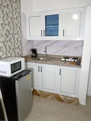 a kitchen with white cabinets and a sink and a microwave at APARTAMENTOS DE 1 2 Y 3 HABITACIONEs in Santiago de los Caballeros