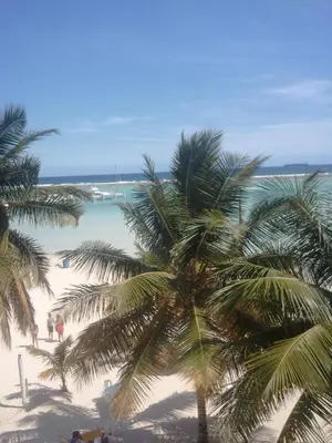 a view of a beach with palm trees and the ocean at Condo Penthouse Batey Dominicus in Bayahibe
