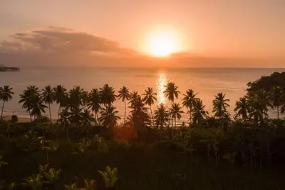 a sunset over the ocean with palm trees in the foreground at Spectacular Cozy Sea View Staffed Villa in Las Terrenas