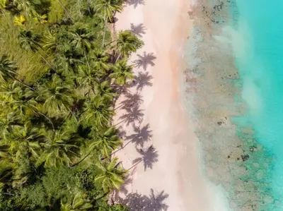 an overhead view of a beach with palm trees and the ocean at Spectacular Cozy Sea View Staffed Villa in Las Terrenas