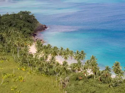 an aerial view of a beach with palm trees at Spectacular Cozy Sea View Staffed Villa in Las Terrenas