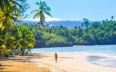 a man walking on a beach with palm trees at Casa Delfin Guest House in Las Terrenas