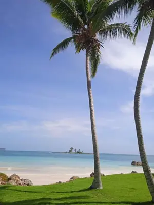 two palm trees on a beach near the ocean at Quédate Aquí in Las Galeras
