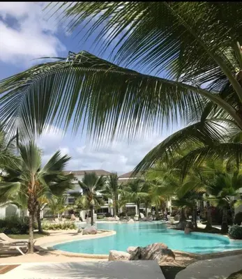 a swimming pool with palm trees in a resort at Estrella Dominicus con hermosa piscina! 1st floor in La Laguna