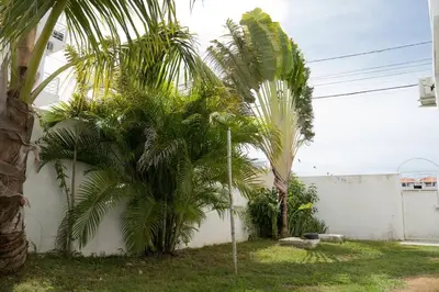 a couple of palm trees next to a white wall at Villa Caribe in Bayahibe