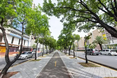 a tree lined street in a city with parked cars at Stunning infinity pool apartment in Santo Domingo
