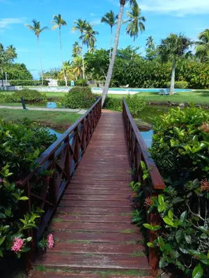 a bridge over a pond in a park with palm trees at Bonita Village Beachfront Apt with Pool & Balcony in Las Terrenas