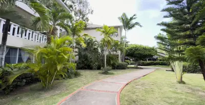 a walkway in front of a building with palm trees at Paradis Mimies Dominican Bay in Boca Chica