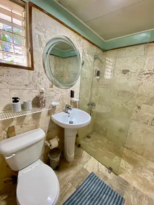 a bathroom with a toilet and a sink and a shower at Madonna1 pool beach los corales Arenas de Bavaro in Punta Cana