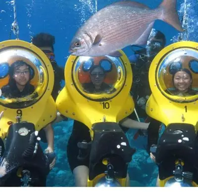 a group of people in diving gear with a fish at Dios es Fiel - Ali Hotel in Punta Cana