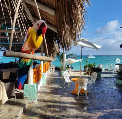 a parrot sitting on a pole on a beach at Dios es Fiel - Ali Hotel in Punta Cana
