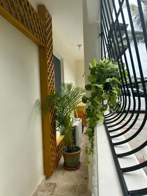 a balcony with potted plants and a metal railing at EL TOUCAN, Apartament in bayahibe in Bayahibe