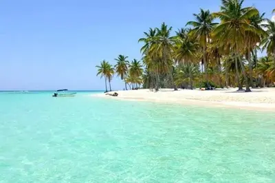 a beach with palm trees and turquoise water at El mejor apartamento cerca de la playa de Boca Chica in Boca Chica