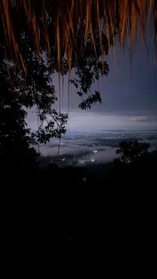 a view of a city from under a tree at night at NOMAD Domes at Salto Jimenoa, Jarabacoa in Jarabacoa
