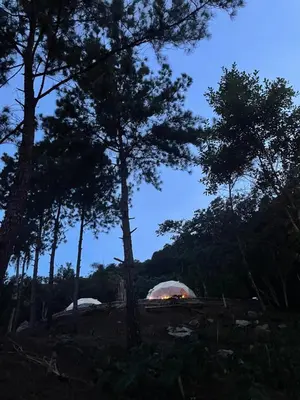 a tent in the middle of a forest with trees at NOMAD Domes at Salto Jimenoa, Jarabacoa in Jarabacoa