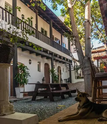 a dog laying on the ground in front of a building at Island Life Hostel in Santo Domingo