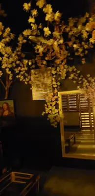 a tree with white flowers in front of a building at Tus Recuerdos in Santo Domingo