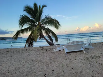 two chairs and a palm tree on the beach at Marmota House in Santa Bárbara de Samaná
