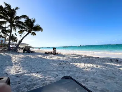 a sandy beach with palm trees and the ocean at BeachFront Apartament - Private Beach Access in Punta Cana