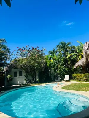a swimming pool in front of a house with palm trees at Villa Clarissa No. 8 in Las Terrenas