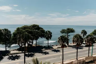a road with trees and the ocean in the background at Oceanfront 3 Bedroom With Jacuzzi and Pool in Santo Domingo
