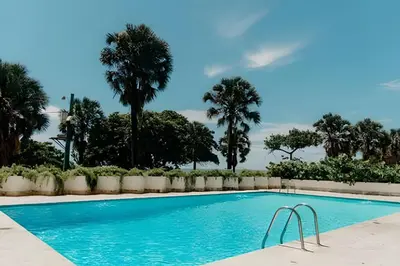 a swimming pool with palm trees in the background at Oceanfront 3 Bedroom With Jacuzzi and Pool in Santo Domingo