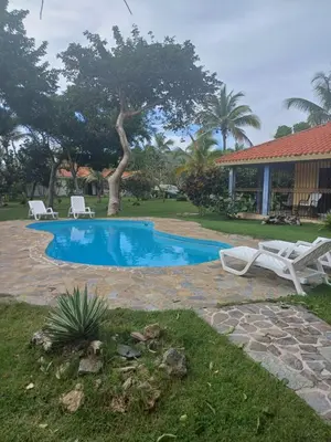 a pool with two chairs and a tree in a yard at Mangobich in Punta Balandra