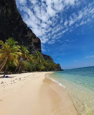 a beach with palm trees and the ocean at Apartamento panorámico vista al mar in Las Galeras