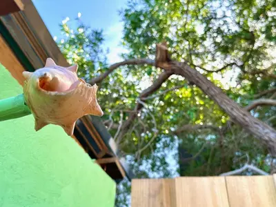 a shell on the side of a fence with a tree at Beach Terrace Loft in Buen Hombre in Buen Hombre